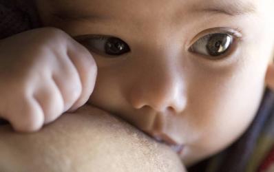 La leche materna, un tejido vivo La leche materna, un tejido vivo