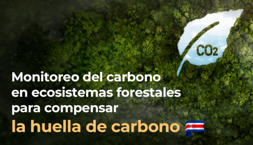 CURSO CARBONO