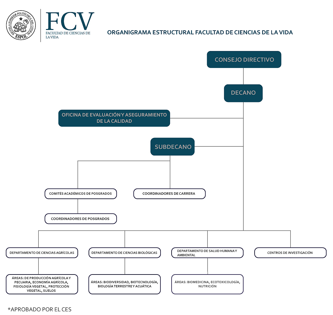 Organigrama Fcv